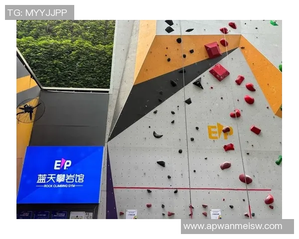 杭州攀岩队状态转变引发热议探索攀岩运动的未来发展与挑战