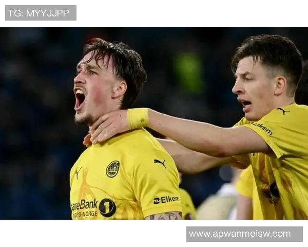 沃尔夫斯堡客场大胜弗赖堡,继续保持胜利势头! 沃尔夫斯堡客场大胜弗赖堡,继续保持胜利势头!